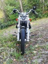 Harley-Davidson Softail Standard, dt.Modell *5HD1* - Offers matching your search criteria