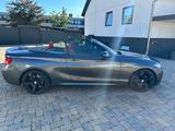 BMW 2 Cabrio 228 i  M Paket  HU neu Leder Bi Xenon - BMW 2er Reihe: M Paket