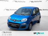 Fiat Pandina 1.0 Icon - PDC/DAB/Klima/5 Sitzer - blaue Fiat New Panda