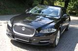 Jaguar XJ Luxury 3.0 V6 Diesel Langversion - Jaguar XJ: 3.0