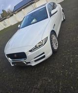 Jaguar XE E-Performance 163PS Portfolio Automatik P... - Jaguar XE: Portfolio