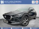 Mazda CX-30 "X" "SELECTION" "DES-P" "ACT-P" "GSD" BOSE - Mazda CX-30 mit Schiebedach