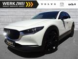 Mazda CX-30 G150 Exclusive-Line 2WD AT BOSE ACC HUD 18 - Mazda CX-30 Exclusive-Line mit Benzin-Antrieb