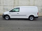 Volkswagen Caddy Maxi Kasten EcoProfi LKW 1.Hand 35Tkm MwSt - Volkswagen Caddy: Lkw
