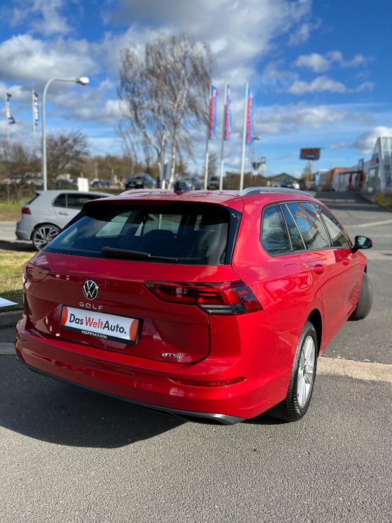 Fahrzeugabbildung Volkswagen Golf Variant 1.0 eTSI DSG Life AHZV Head Up LED+