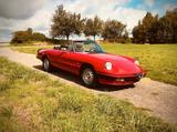 Alfa Romeo Spider - gebrauchte Alfa Romeo Spider aus dem Jahr 1984