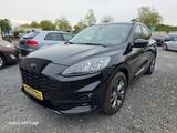 Ford Kuga ST-Line X - Ford Gebrauchtwagen in Dortmund