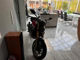 Ducati Monster 30° Anniversario Limited Nr. 457/500 - DUCATI MONSTER 30 ANNIVERSARIO