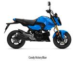 Honda MSX125 Grom, schwarz ,weiß und blau mit TZ! - HONDA MSX