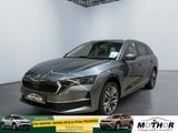 Skoda Octavia Combi Balance 1.5 TSI DSG 2xKlima - Skoda Octavia Neuwagen in Bremen