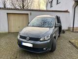 Volkswagen Caddy 1,2TSI 63kW Mini Campervan, Jako-o - Volkswagen Caddy: Camper