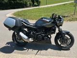Suzuki SV650X - mit vielen Extras - SUZUKI SV650X