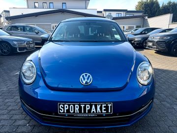 Volkswagen Beetle - 3