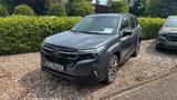 Subaru Forester 2.0ie Platinum Lineatr.*Endspurt Preis