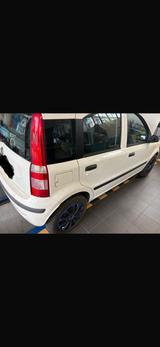 Fiat Panda 1.2 - Fiat Panda Gebrauchtwagen in Frankfurt
