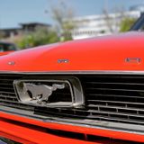 Ford 289 Mustang 1966er C-Code - Ford Mustang Gebrauchtwagen in Stuttgart