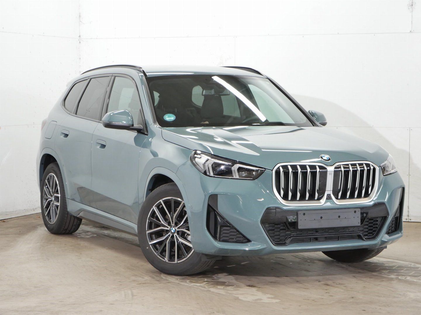 BMW X1 xDrive20d M Sport Stop&Go HeadUp Memory foto 3