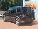 Volkswagen Touran CrossTouran - Volkswagen Touran CrossTouran Gebrauchtwagen