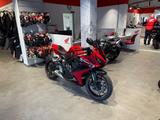 Honda CBR650R mit Quickshifter *Service + Reifen neu* - HONDA CB 650