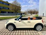 MINI Cooper Cabrio Autom.Leder/Navi/LED/Kamera - MINI Cooper Cabrio mit Panoramadach