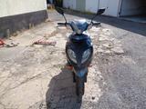 Explorer Speed 50 - EXPLORER MOTORRAD