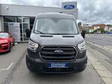 Ford Transit 350 L2H2 Trend FWD 170PS AHK KAMERA SITZ - Ford Transit: 17