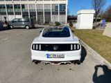 Ford Mustang 5.0 V8 EU-Model, RECARO, BREMBO - Ford B model Gebrauchtwagen