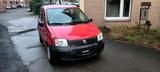 Fiat FIAT PANDA   1 HAND   TÜV NEU   97TKM. - Fiat Panda Gebrauchtwagen in Dortmund
