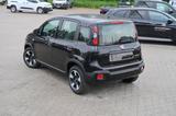 Fiat Panda Hybrid City Plus 1.0 GSE Tech Plus Paket - Fiat Panda Vorführfahrzeuge