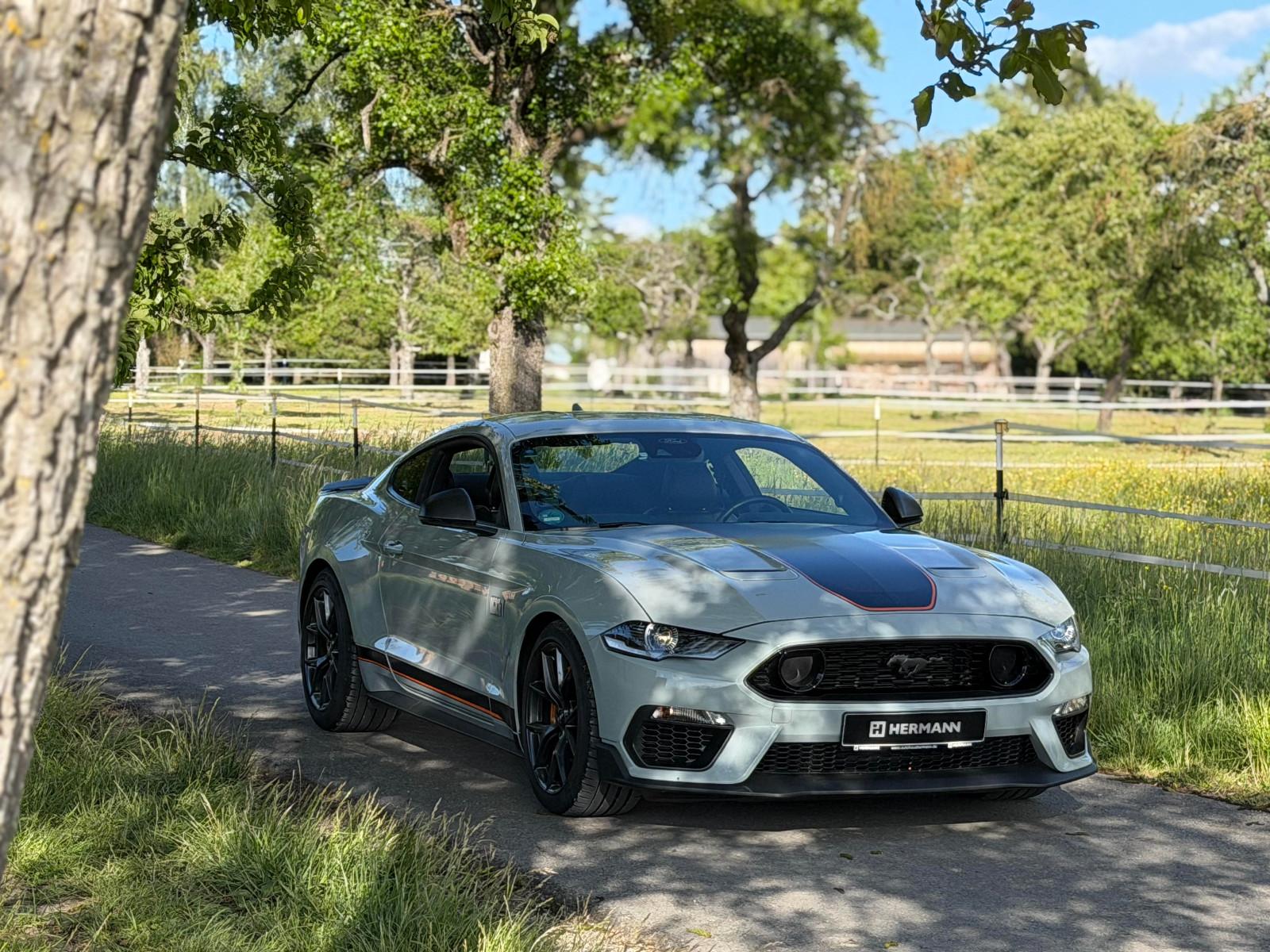 Ford Mustang Mach 1 Fastback B&O/Y-Speichen/Garantie
