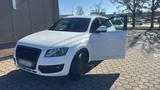 Audi Q5 Allrad Design/ Sportpaket - Audi Q5 design mit Benzin-Antrieb