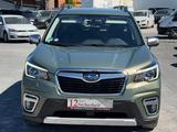 Subaru Forester Comfort - Subaru Forester Gebrauchtwagen