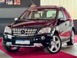 Mercedes-Benz ML 420 V8 CDI AMG Paket Glasdach Kamera Airmatic - Mercedes-Benz Ml