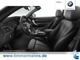 BMW 230i Steptronic Cabrio M Sport H&K AdLED RFK - BMW 230 Cabrio Gebrauchtwagen
