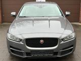 Jaguar XE E-Performance 163PS Pure - Jaguar XE in Essen