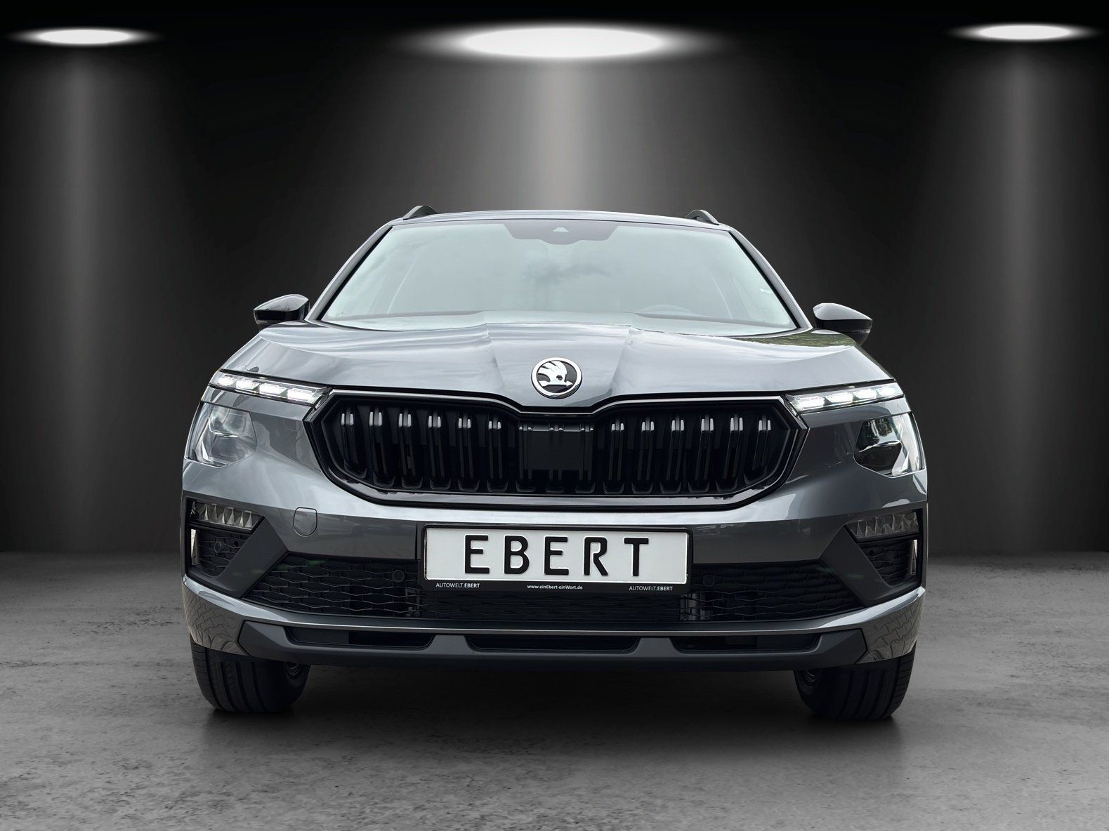 Fahrzeugabbildung SKODA Kamiq Tour 1,0 TSI 85 kW DSG RFK/LED/el. Heckkl.