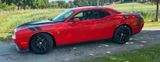 Andere Dodge Challenger Scat Pack 6,4 V8 R/T - Andere mit Benzin-Antrieb: Coupé