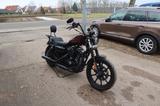 Harley-Davidson Iron 1200 jekillandhyde KlappenAnlage - HARLEY-DAVIDSON IRON