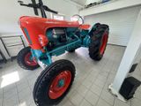 Lamborghini Andere - Lamborghini in München
