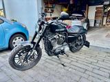 Harley-Davidson Roadster XL2 5HD1 TÜV NEU!!! Inspektion NEU!! - HARLEY-DAVIDSON ROADSTER