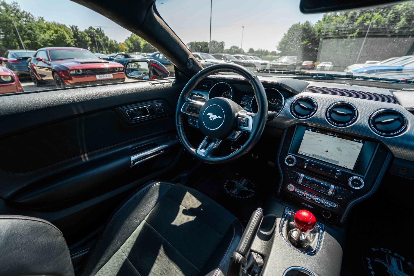 Ford Mustang GT 5,0 Gt 350 SHELBY PREMIUM VOLL
