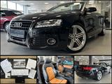 Audi A5 Cabriolet 3.0 TDI|"30 Jahre Quattro"|B&O|AHK - Audi A5: 3.0