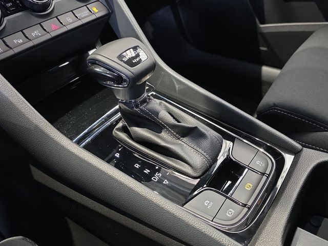 Karoq Sportline 2.0 TDI 4x4 DSG*AHK*360*