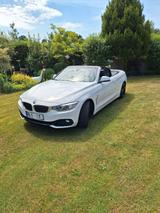 BMW 420i Cabrio Sport Line Automatik Leder Nackenwär - BMW 420 in Kiel