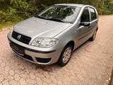 Fiat FIAT PUNTO 1.2  - TÜV NEU - SCHECKHEFT GEP... - gebrauchte Fiat Punto aus dem Jahr 2004
