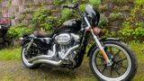Harley-Davidson Sportster Super Low 883 - Offers matching your search criteria