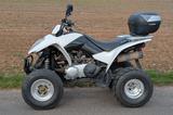 Kymco Maxxer 250 - QUAD VON 126 BIS 250 CCM