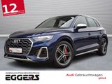 Audi SQ5 3.0 TDI qu/tip. *LED*Luft*B&O*Keyless*360* - Audi SQ5 in Bremen
