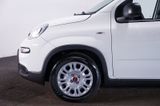 Fiat Panda 1.0 MY24 GSE Hybrid*Klima*4-Sitzer* - Fiat Panda: Sitzer