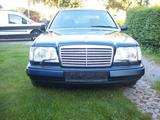 Mercedes-Benz 260 - blaue Mercedes-Benz 260